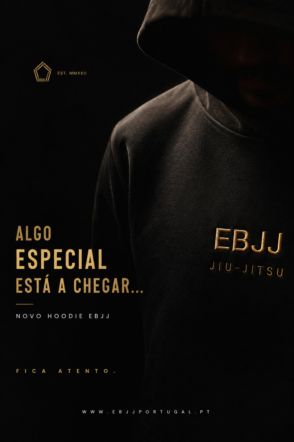 Hoodie EBJJ 4 Years — bordado dourado EBJJ Jiu-Jitsu